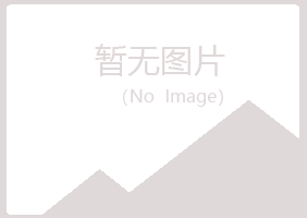 河池字迹电讯有限公司